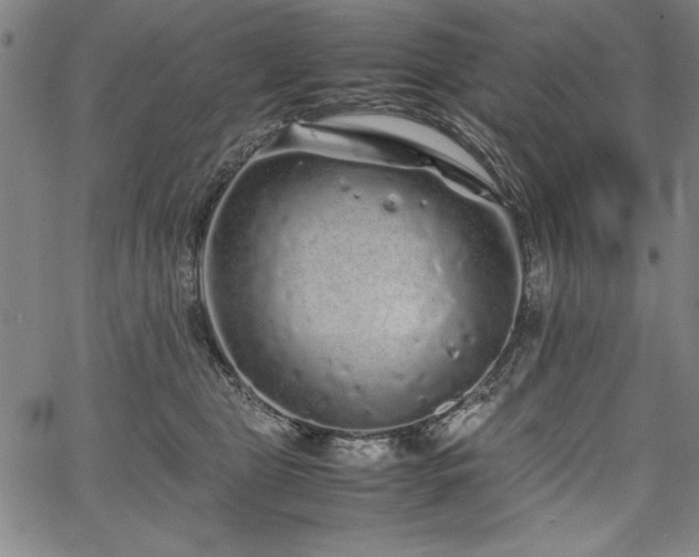 X0000067910469200604131348