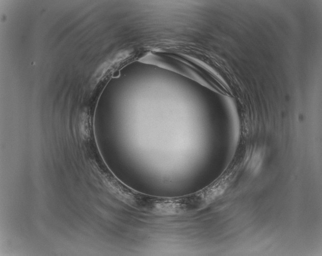 X0000067910470200604131348