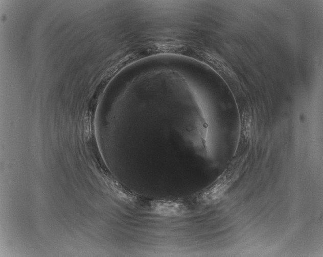 X0000067910471200604131348