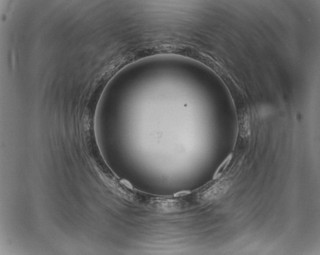 X0000067910472200604131348