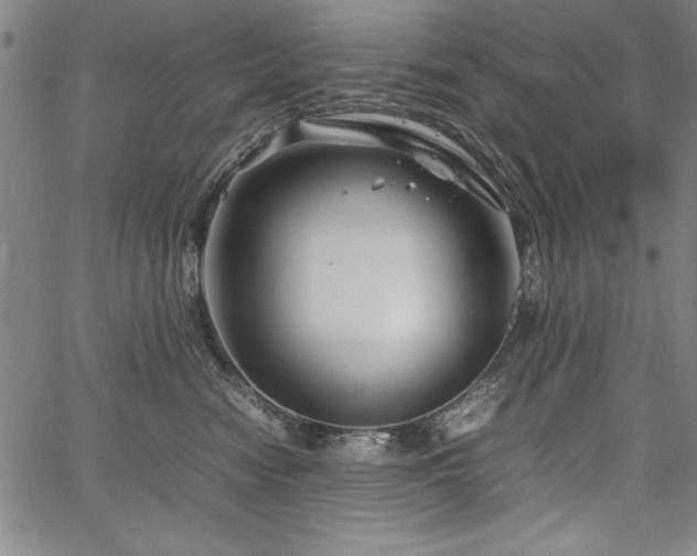 X0000067910474200604131348