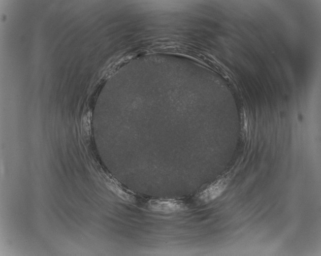 X0000067910475200604131348