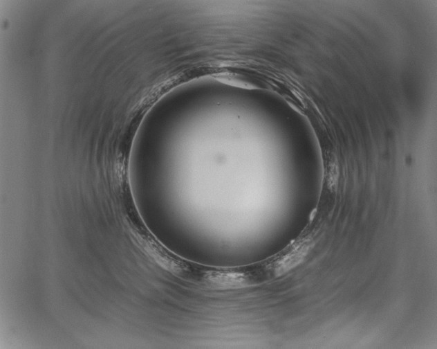 X0000067910476200604131348