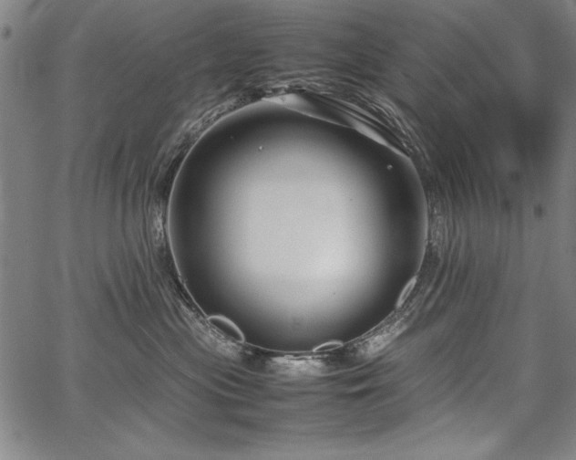 X0000067910477200604131348