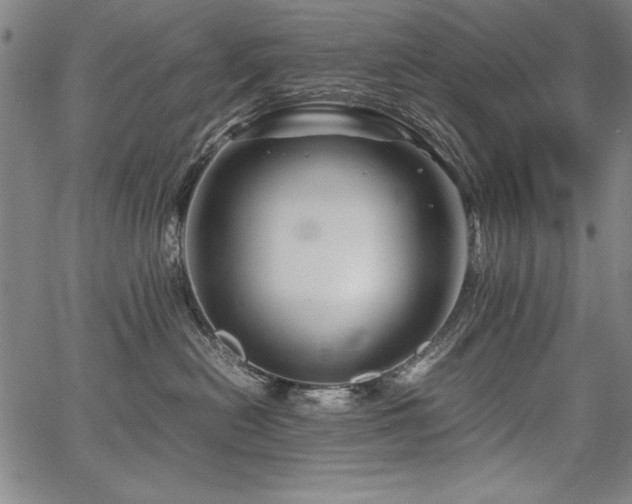 X0000067910478200604131348