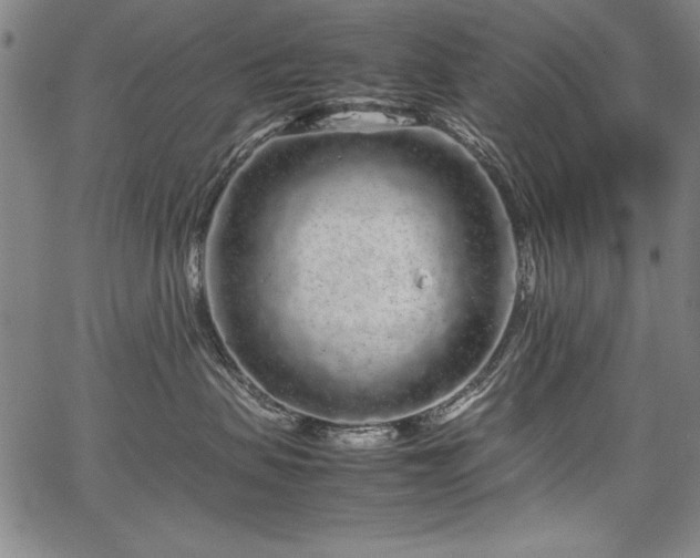 X0000067910479200604131348