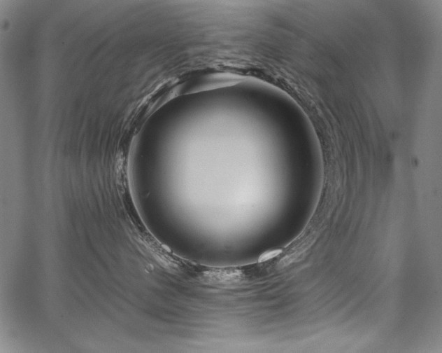 X0000067910480200604131348