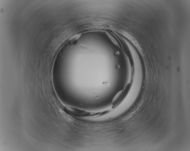 X0000067910481200604131347