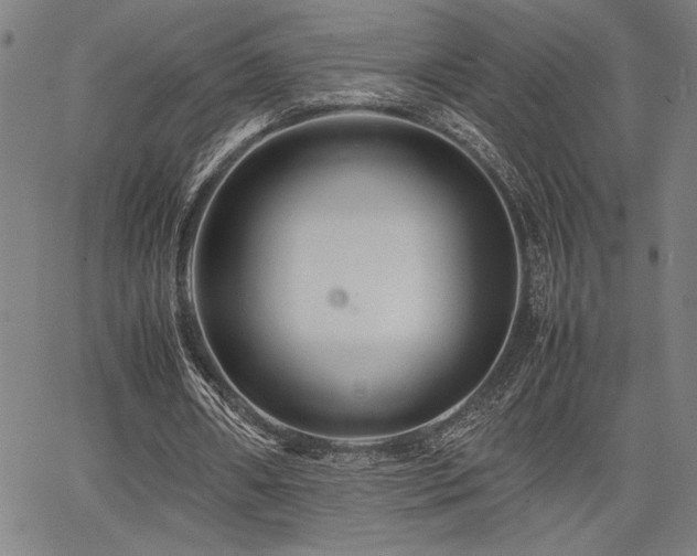 X0000067910482200604131347