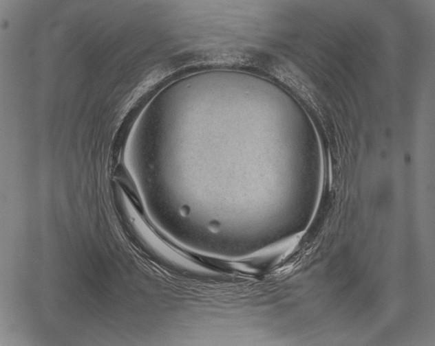 X0000067910483200604131347