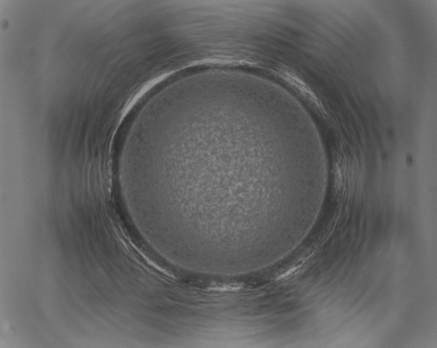 X0000067910484200604131347