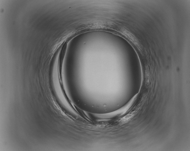 X0000067910485200604131347