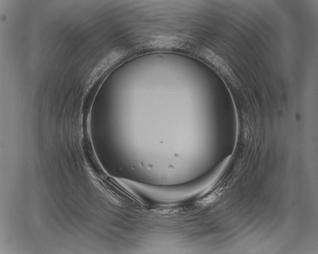 X0000067910486200604131347