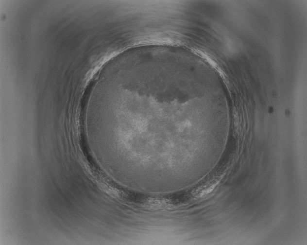 X0000067910487200604131347