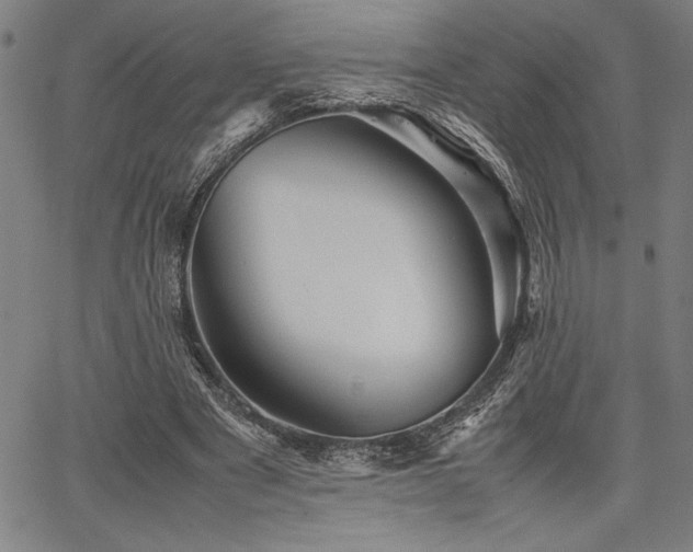 X0000067910489200604131347