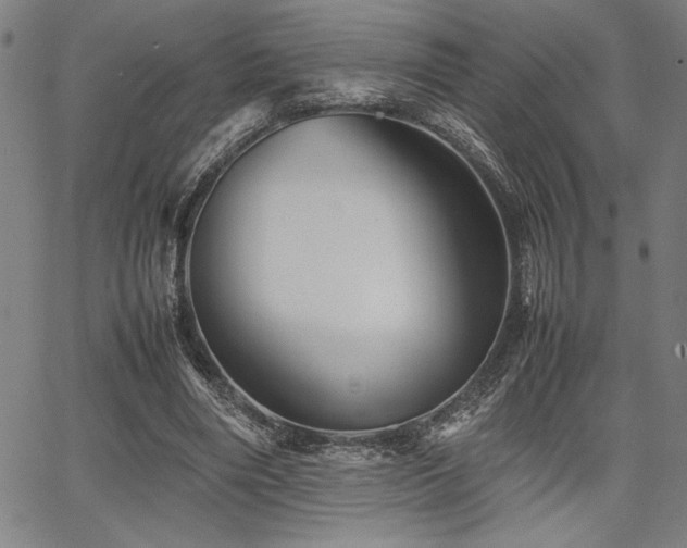 X0000067910490200604131347