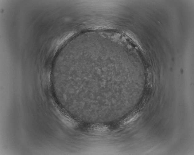 X0000067910491200604131347