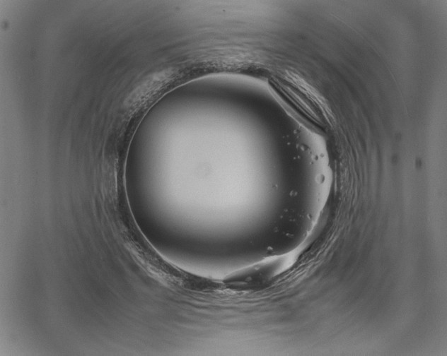 X0000067910493200604131347