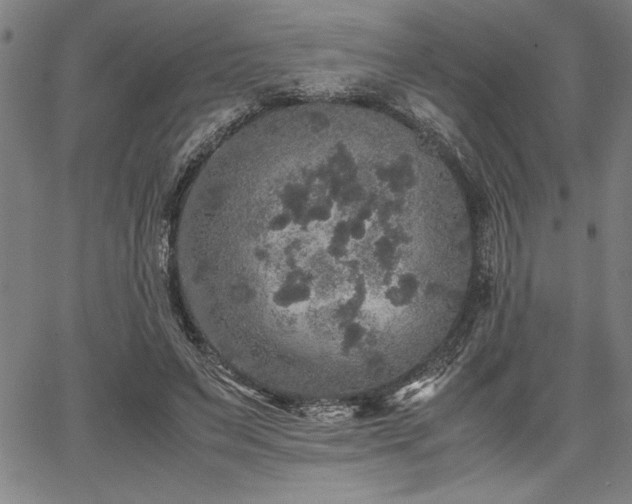 X0000067910495200604131347