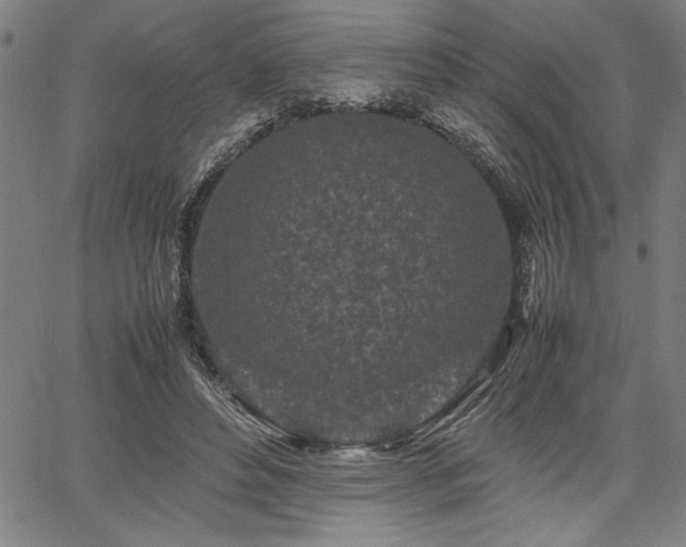 X0000067910496200604131347