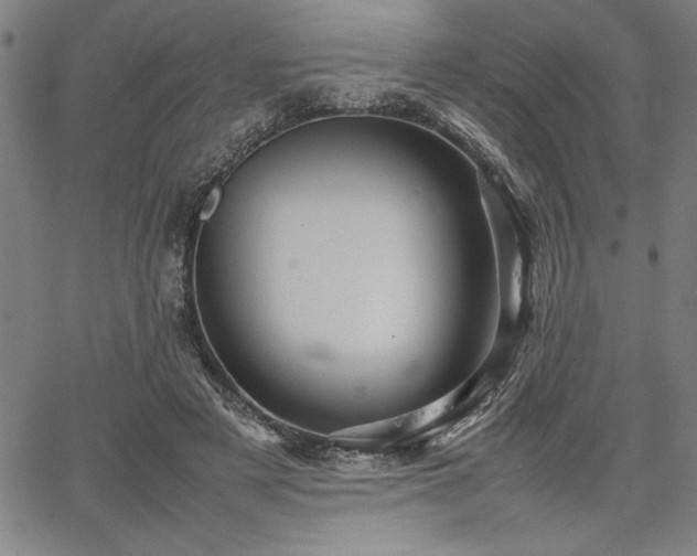 X0000067910497200604131347