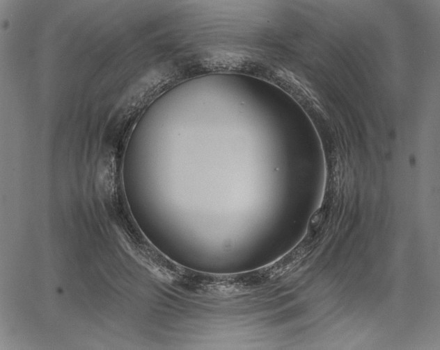 X0000067910498200604131347