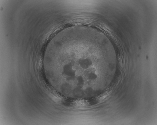 X0000067910499200604131347