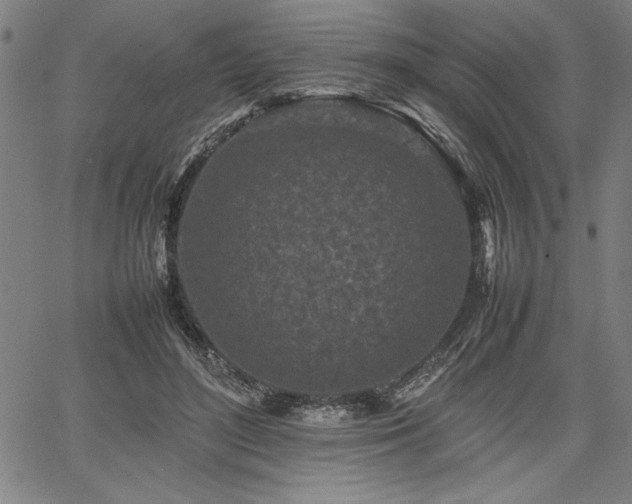 X0000067910500200604131347