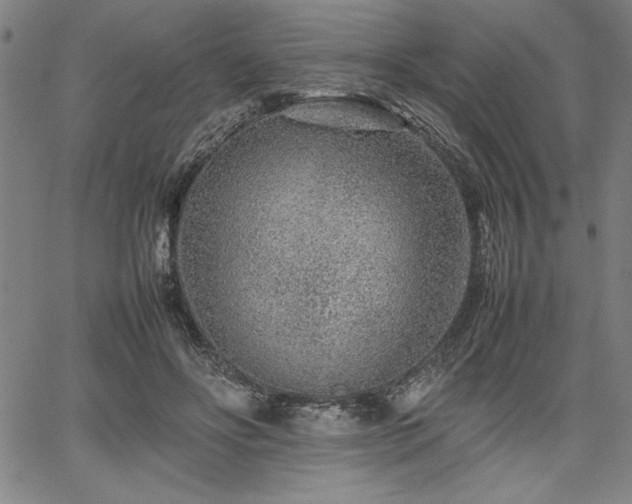 X0000067910502200604131347