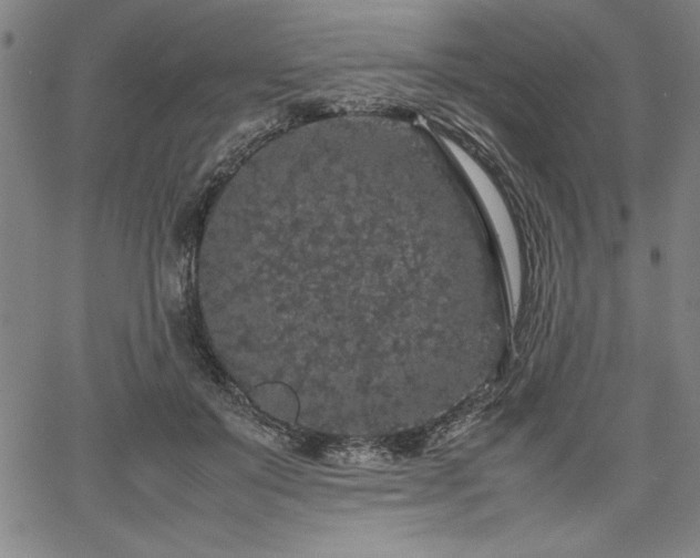 X0000067910503200604131347