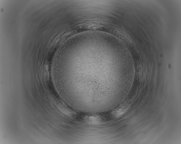 X0000067910506200604131347