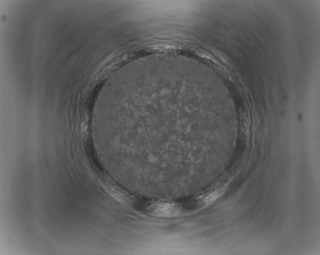 X0000067910507200604131347