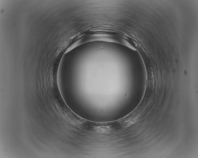 X0000067910508200604131347