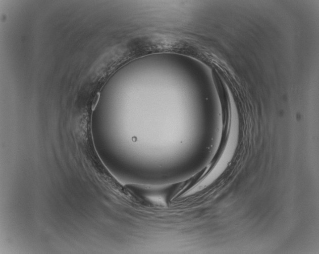 X0000067910509200604131347