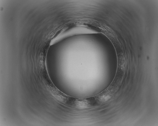 X0000067910510200604131347