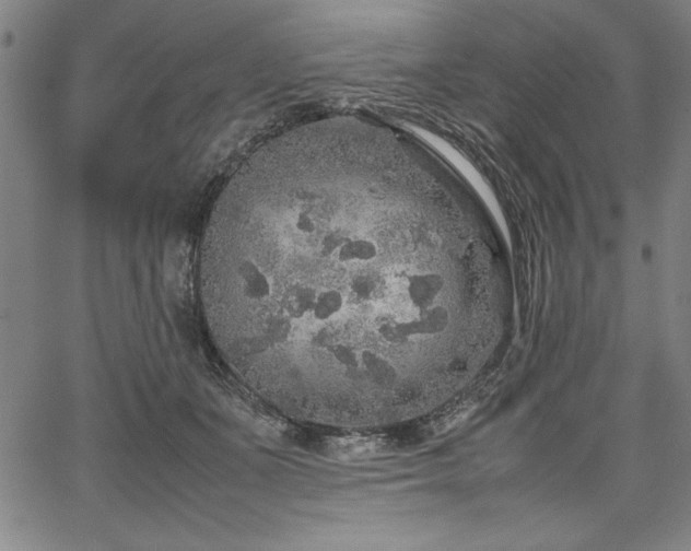 X0000067910511200604131347