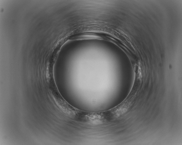 X0000067910512200604131347