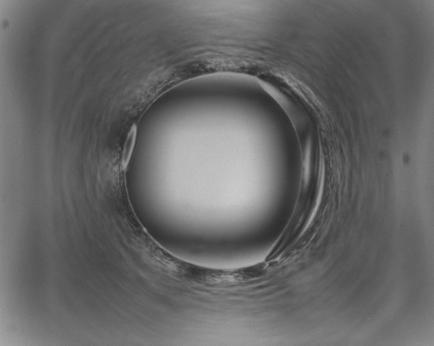 X0000067910513200604131347