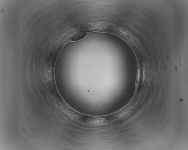 X0000067910514200604131347