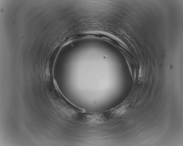 X0000067910516200604131347