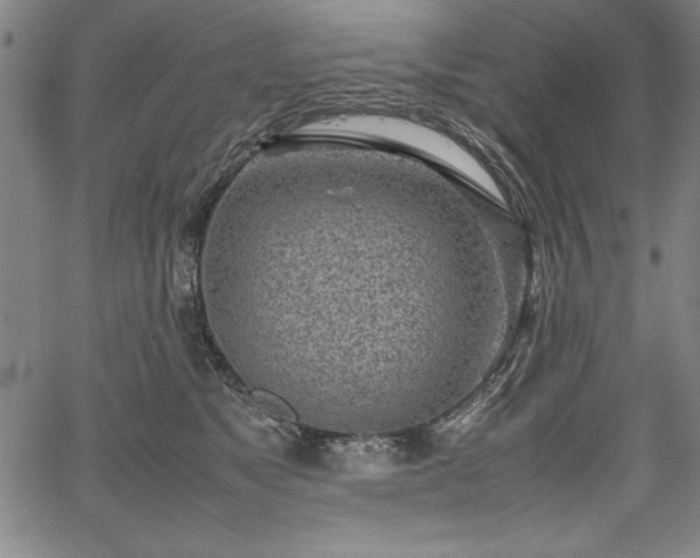 X0000067910517200604131346