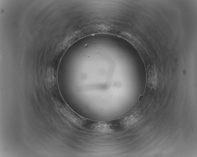 X0000067910518200604131346