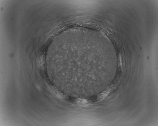 X0000067910519200604131346