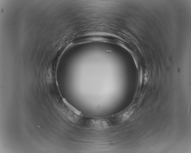 X0000067910520200604131346