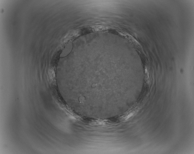 X0000067910523200604131346