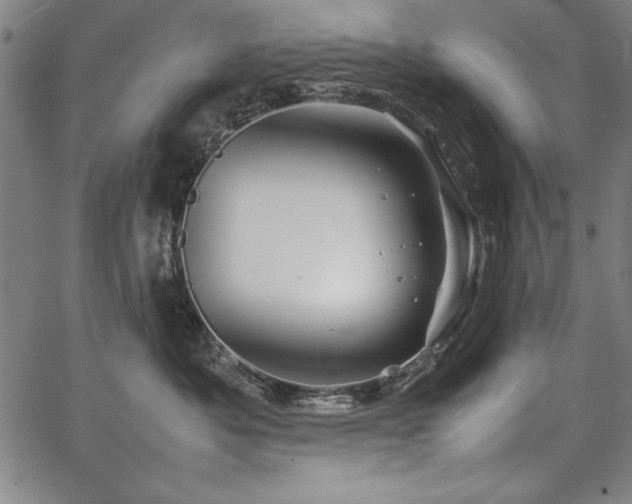 X0000067910525200604131346