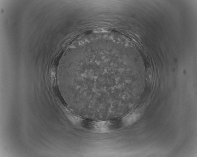 X0000067910527200604131346