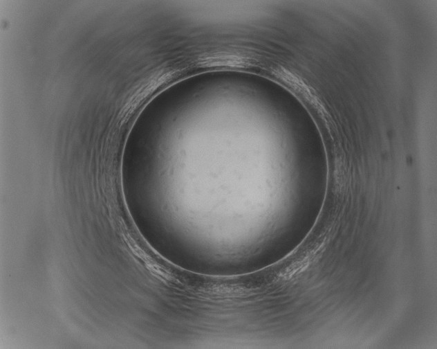 X0000067910529200604131346