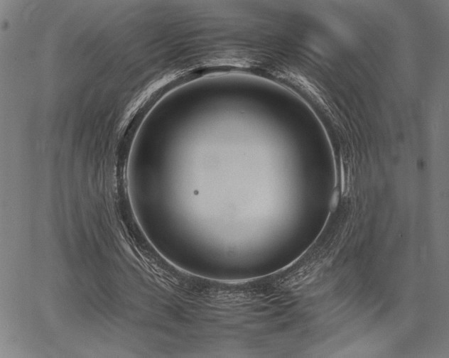 X0000067910531200604131346