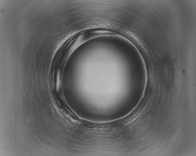 X0000067910532200604131346